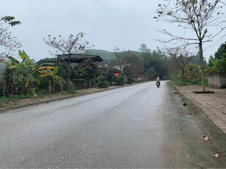 Mặt Tiền Đường To Lưỡng Vượng, Tuyên Quang - 2.007 Tỷ, 208m² Thổ Cư, Kinh Doanh Đắc Lộc