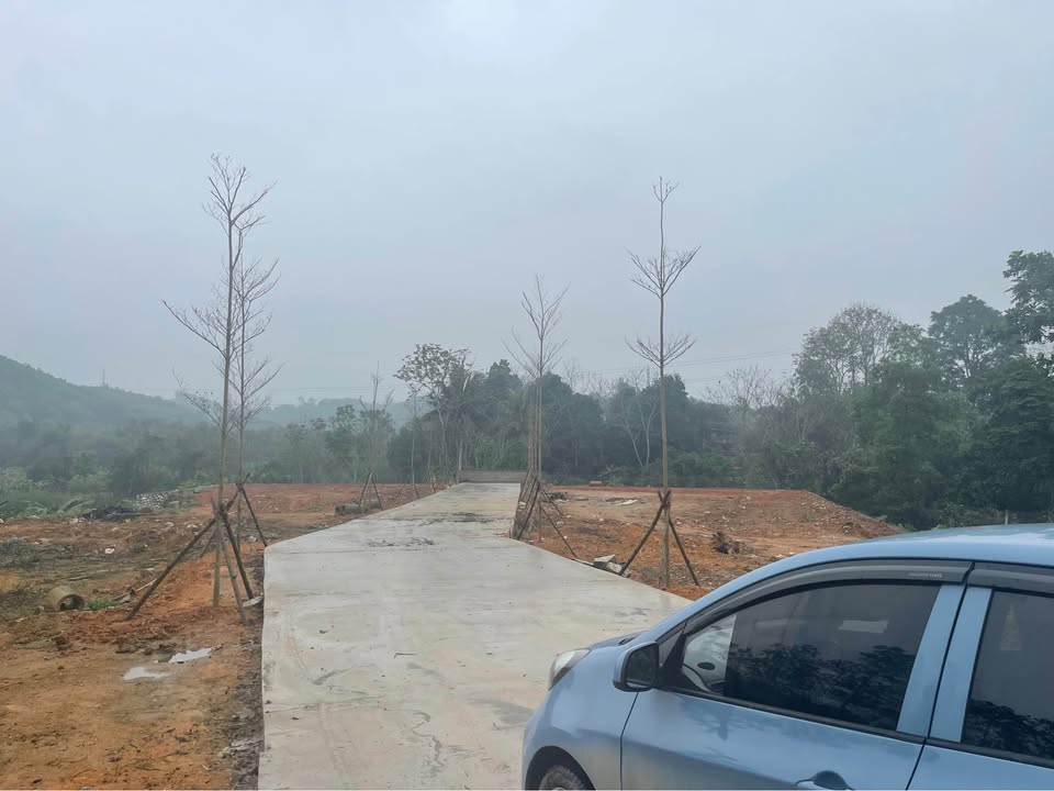 Đất nền Đại học Tân Trào, Tuyên Quang 118m² - Sổ đỏ chính chủ!