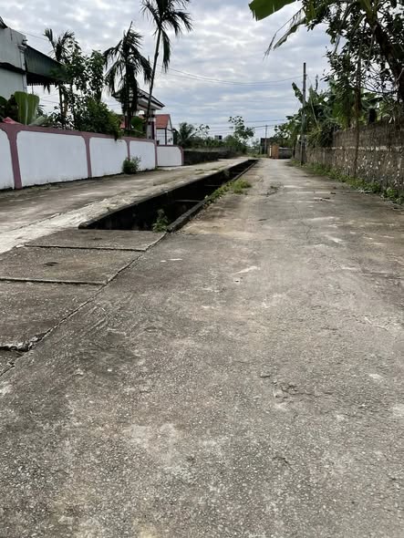 Đất Nền Yên Thành 236m² - Sổ Đỏ Sẵn, Vị Trí Kinh Doanh Đắc Địa