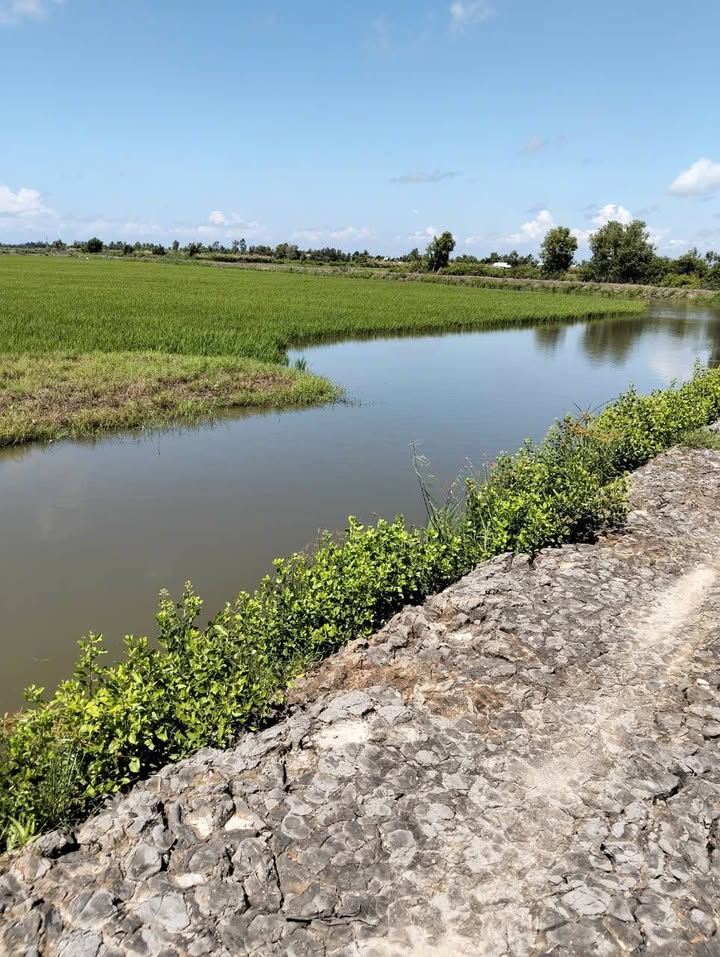 Bán Gấp 5.8ha Đất Tôm Lúa Kiên Giang - Giá Tốt 6.38 Tỷ