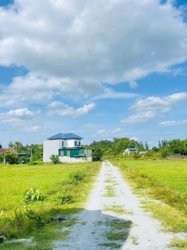 Đất Nền 100m² Đường Nguyễn Hoành Từ, Vinh - Giá Tốt, Sổ Đỏ Sẵn Sàng