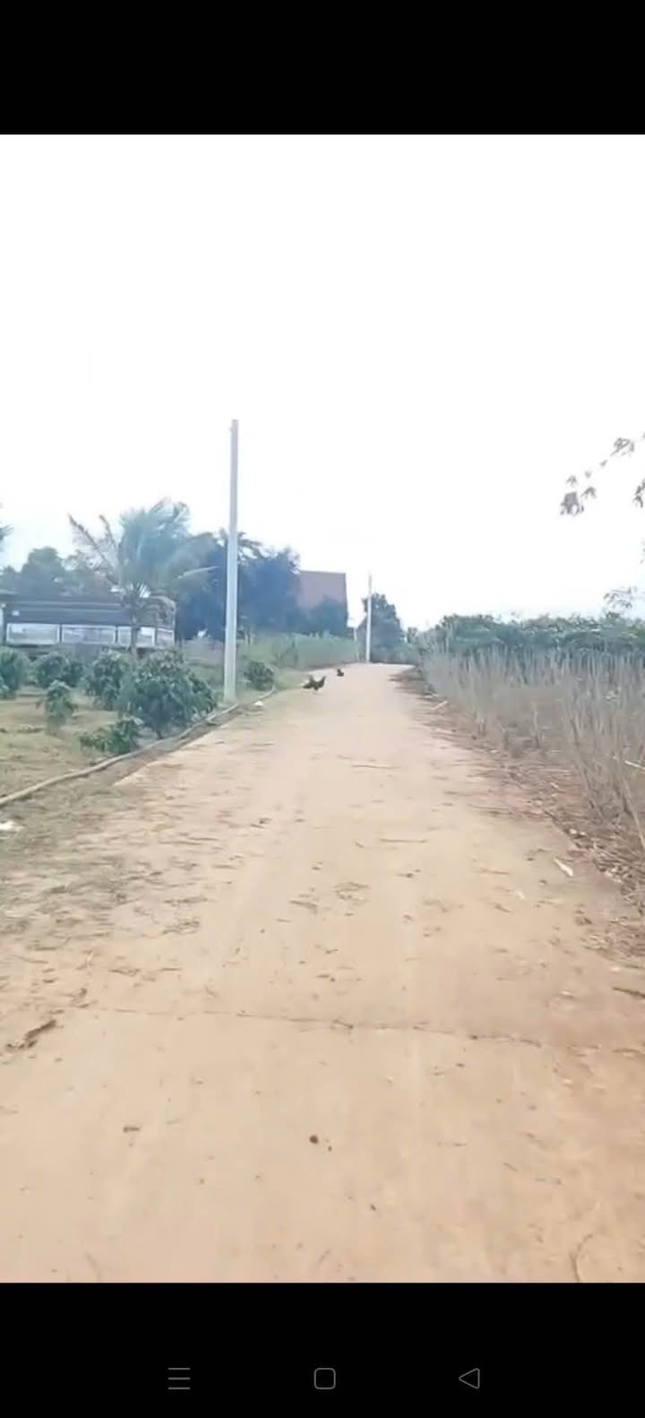 Đất Nông Nghiệp Tân Thành, Đức Trọng 1000m² - Giá Đầu Tư Tốt!