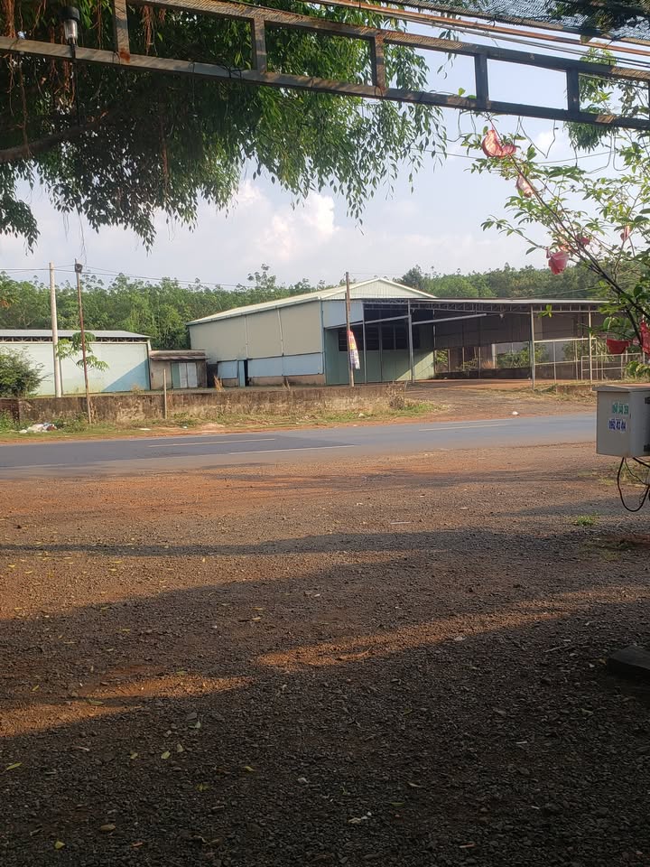 Đất Mặt Tiền QL14 Bù Đăng, Bình Phước - 1656m² Sẵn Kho 400m², 6 Tỷ