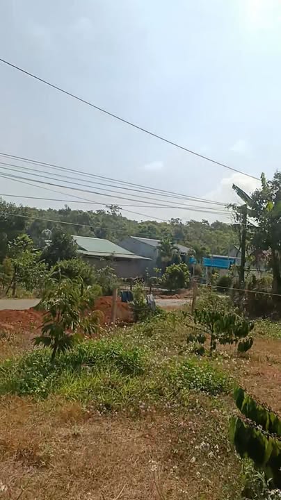 Đất nền Bù Đăng 200m² thổ cư - Sổ đỏ chính chủ, tiềm năng tăng giá!