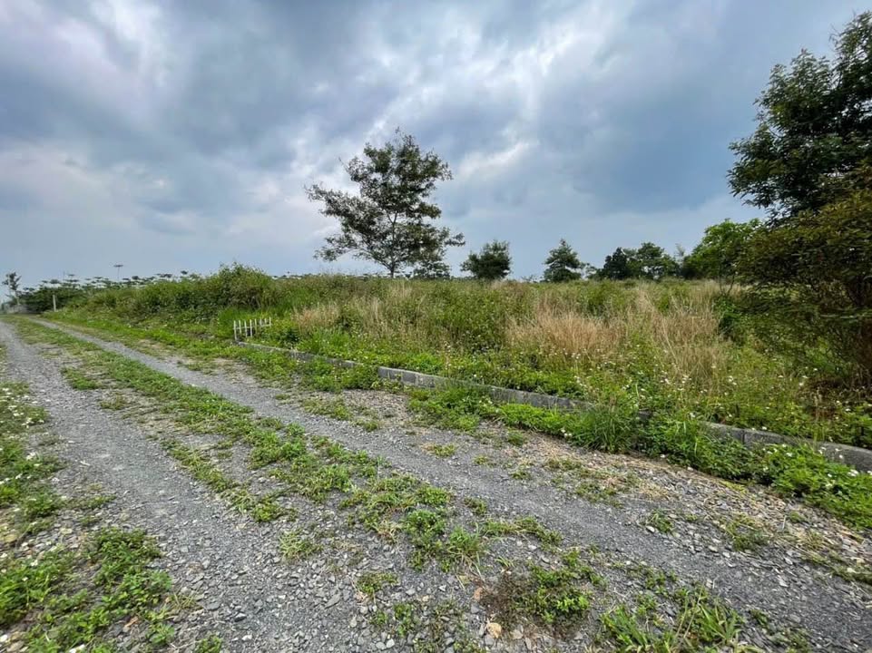 Đất nền Bảo Lộc 528m² 1.65 tỷ - Sổ đỏ chính chủ