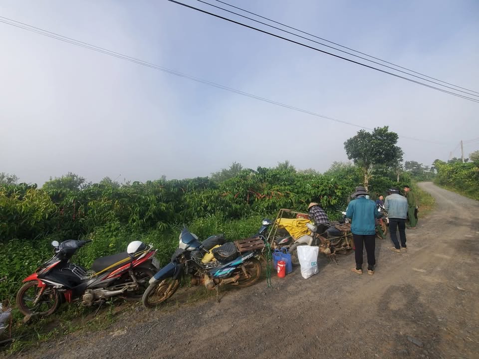 Bán đất 2.5 sào Hòa Bắc, Di Linh - Sổ sẵn, giá 2.2 tỷ