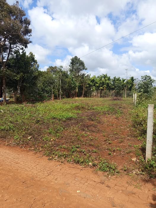 Đất nền Cư Huê Ea Kar 546m² - Sổ đỏ công chứng ngay, giá 800 triệu!