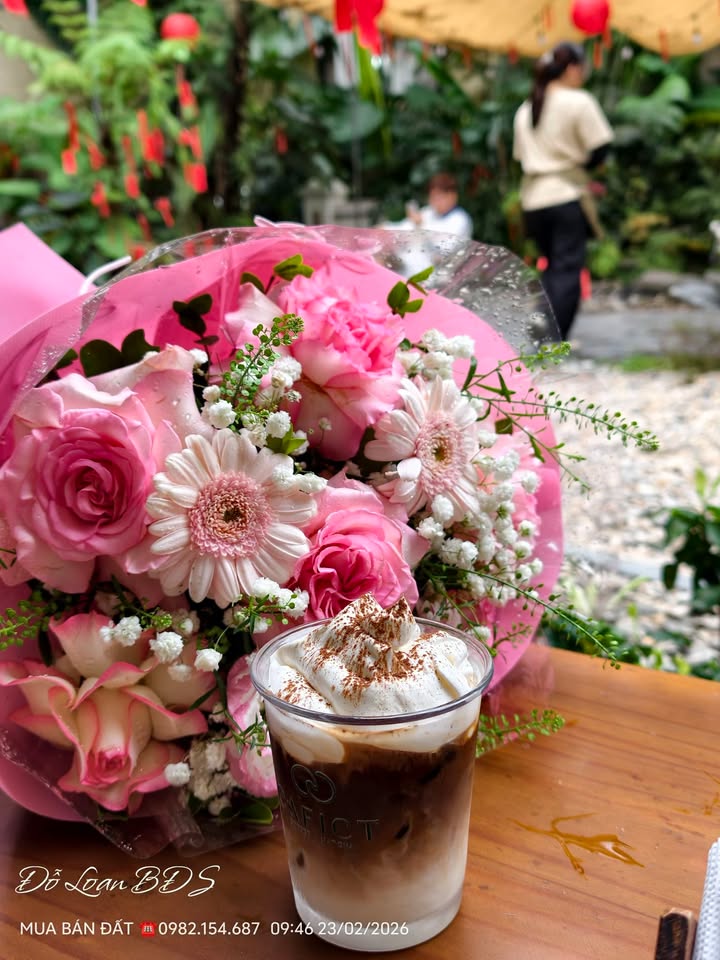 Đất nền Nguyễn Du, Việt Trì 90m² - Tiềm năng tăng giá vượt trội!