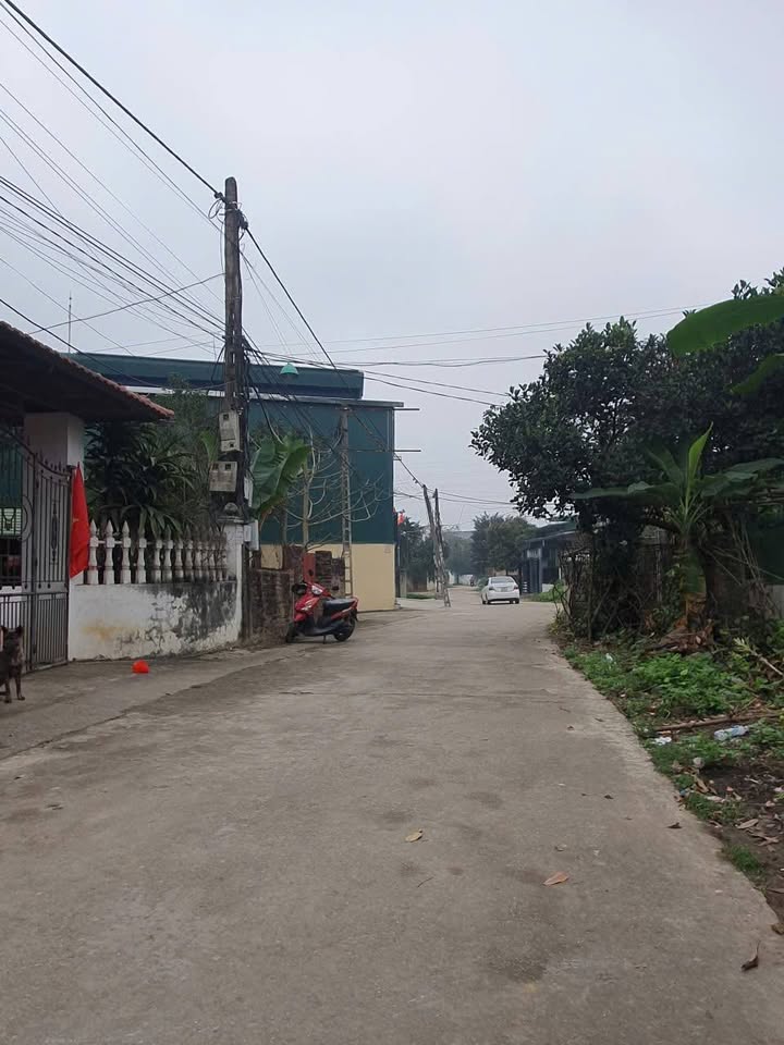 Đất nền 176m² mặt tiền 5m đường Nguyễn Tất Thành, Việt Trì - Giá tốt chỉ 3 tỷ