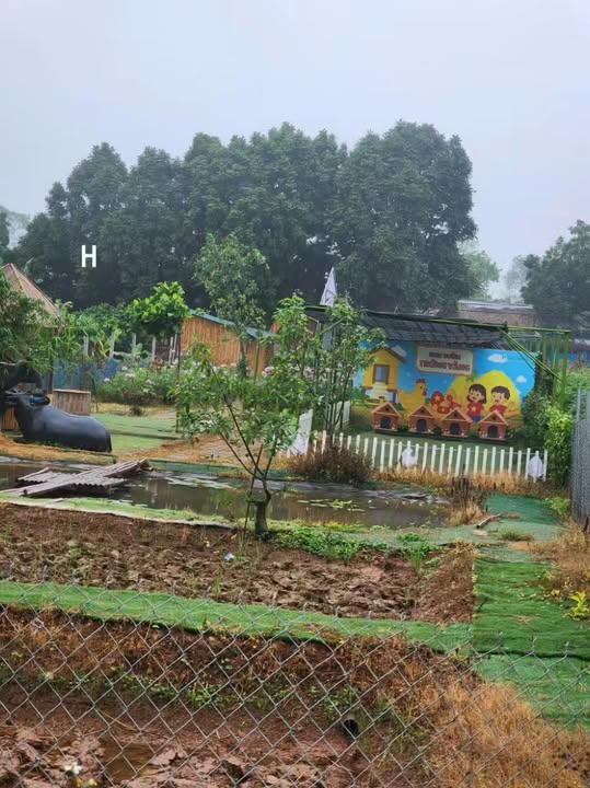 Đất Vườn Thanh Trì 309m² - Sổ 50 năm, Chính Chủ, Sẵn Nhà Vườn