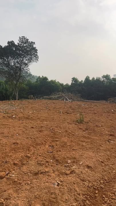 Đất nền Tiên Phú Phù Ninh 3.000m² 2 tỷ - Đường to ô tô