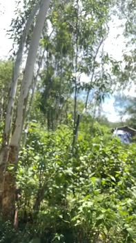 Đất nền Tây Xuân, Tây Sơn 5200m² thổ cư - Sổ đỏ sẵn sàng