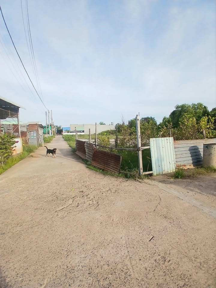 Đất nền Hàm Thắng 100m² giá 920 triệu - Sổ đỏ chính chủ, 2 mặt tiền!