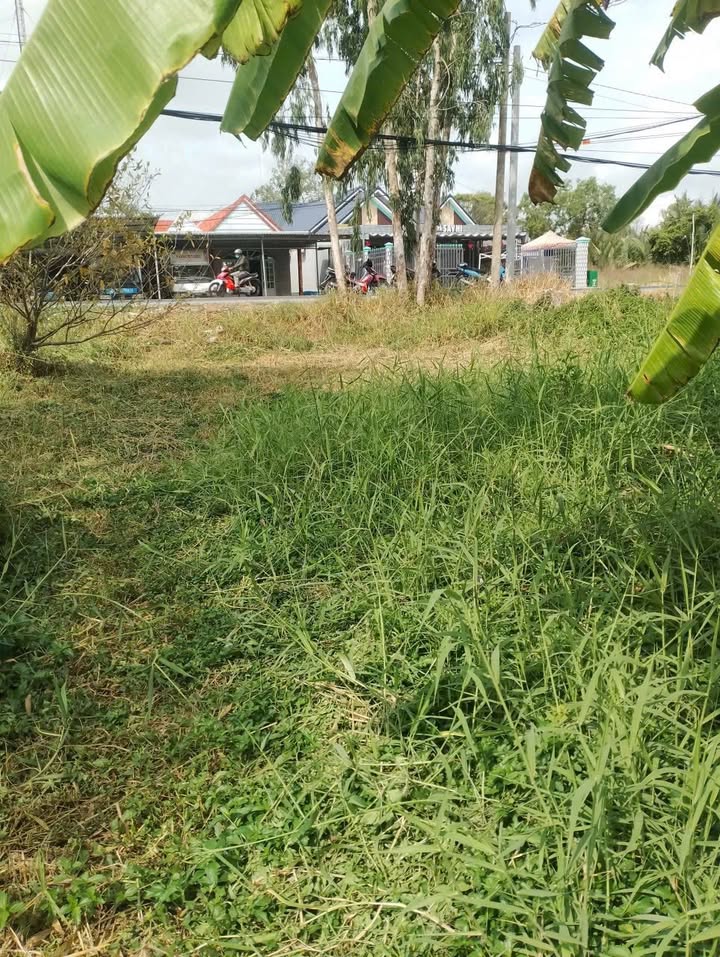 Đất mặt tiền Tỉnh lộ 940 Hậu Giang 300m² - Giá tốt hiếm có!