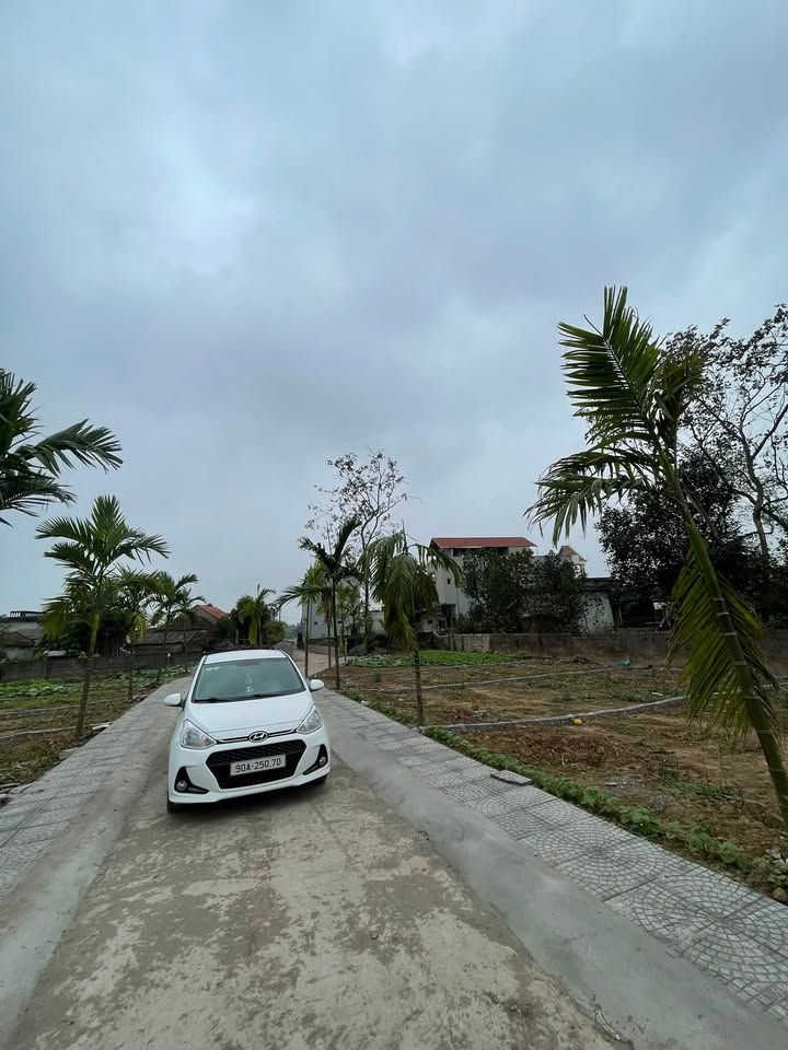 Bán đất Tổ dân phố Quan Nha, Duy Tiên 67m² - Sổ đỏ chính chủ, ô tô vào nhà