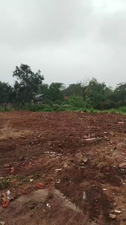 Đất nền Thái Hoà 800m² - Tiềm năng tăng giá vượt trội!