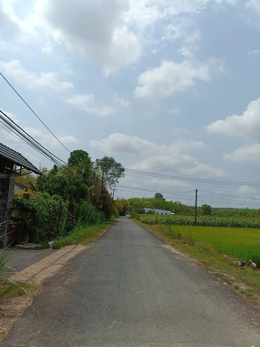 Đất Vườn 458m² Tỉnh Lộ 7 Củ Chi - Sổ Hồng Riêng, Giá Đầu Tư 2.2 Tỷ