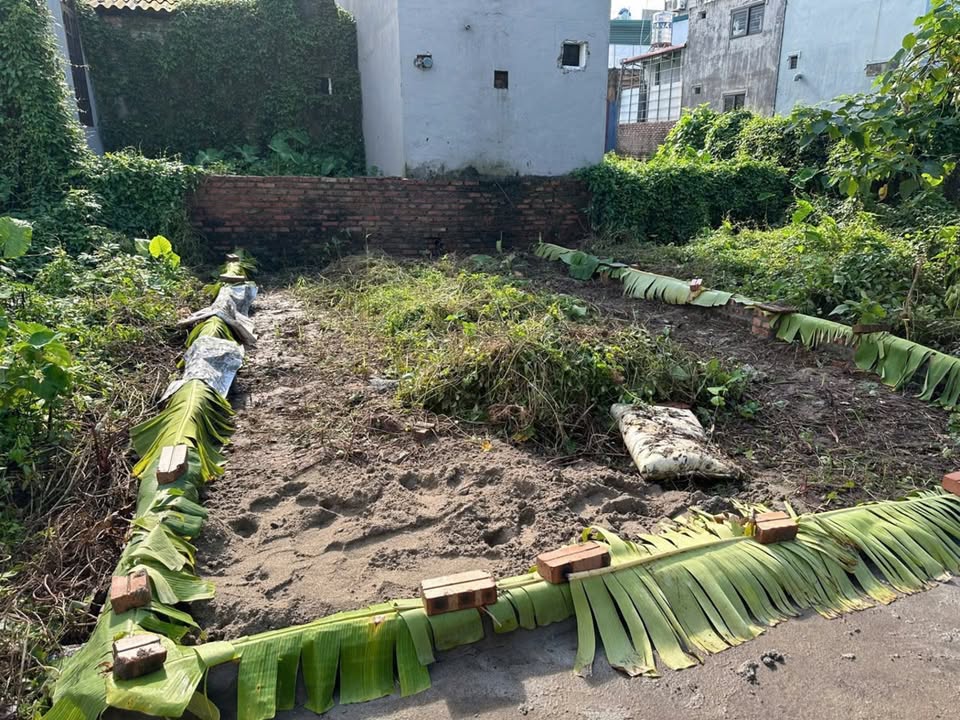 Đất nền Gia Lâm 33m² - Sổ đỏ sẵn, đầu tư sinh lời