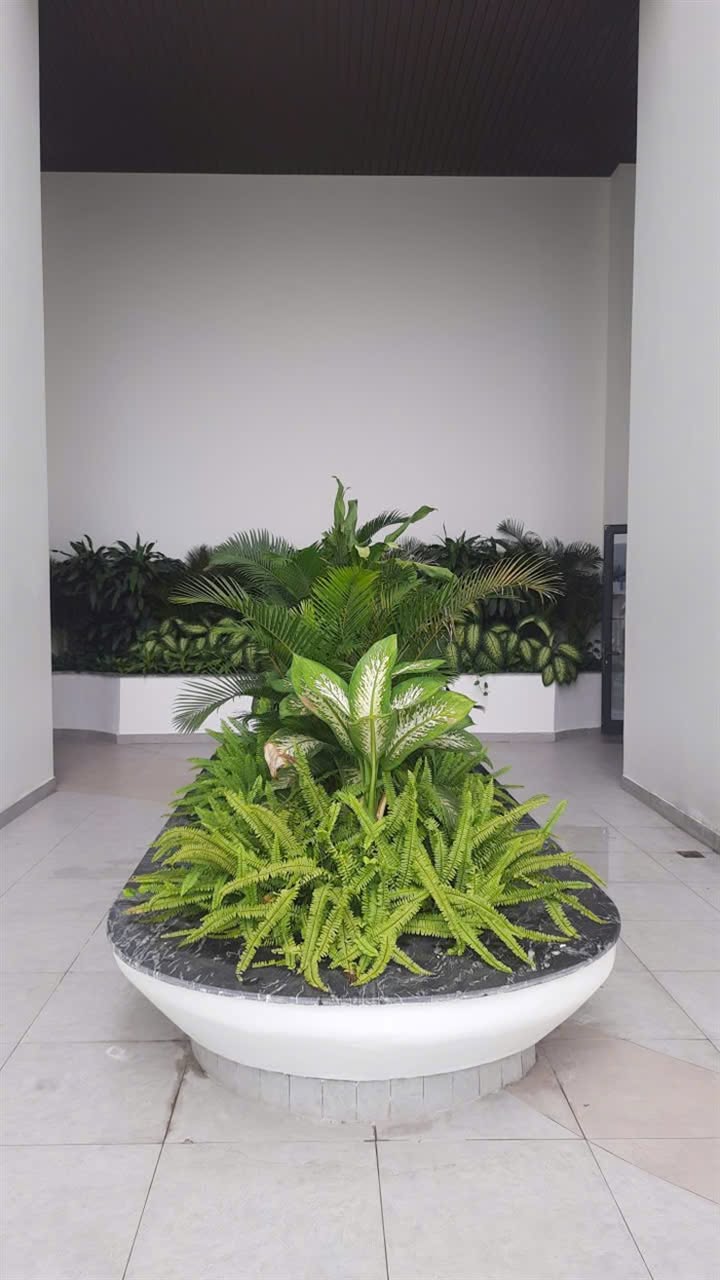 Duplex Sunshine Green Iconic Long Biên - Full nội thất thỏa thuận