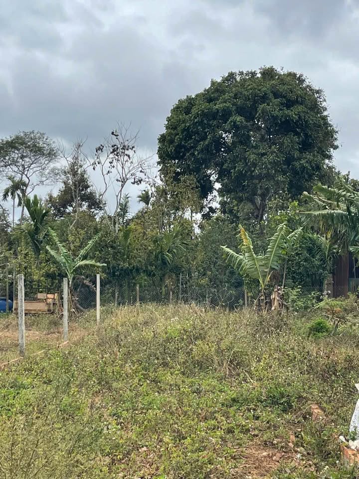 Đất Mặt Tiền Đường KA – Eatu, Buôn Ma Thuột 130m² - Kinh Doanh Sầm Uất