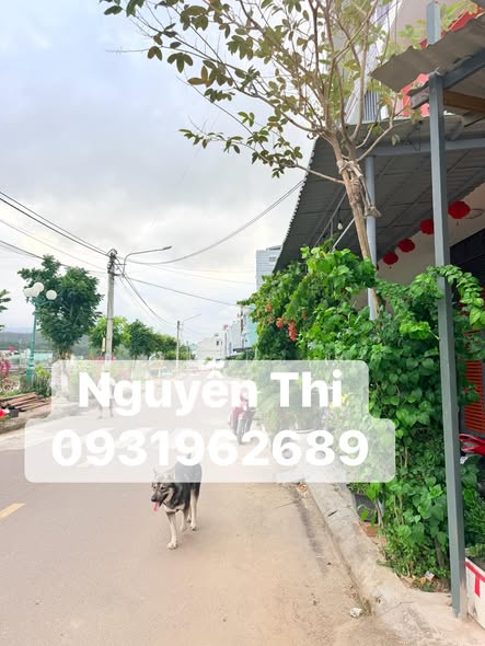 Đất Mặt Sông Quy Nhơn 101m² Hướng Đông Nam - Giá 4 Tỷ