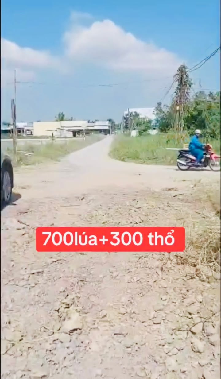 Đất Nền Cần Đước 1000m² giá 2.6 tỷ - Tiềm năng tăng giá vượt trội!