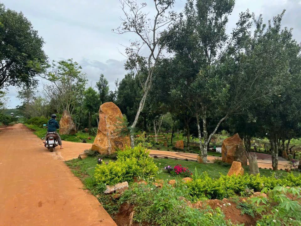 Đất Nền Xã Tân Hà 400m² - Tiềm Năng Tăng Giá Vượt Trội!