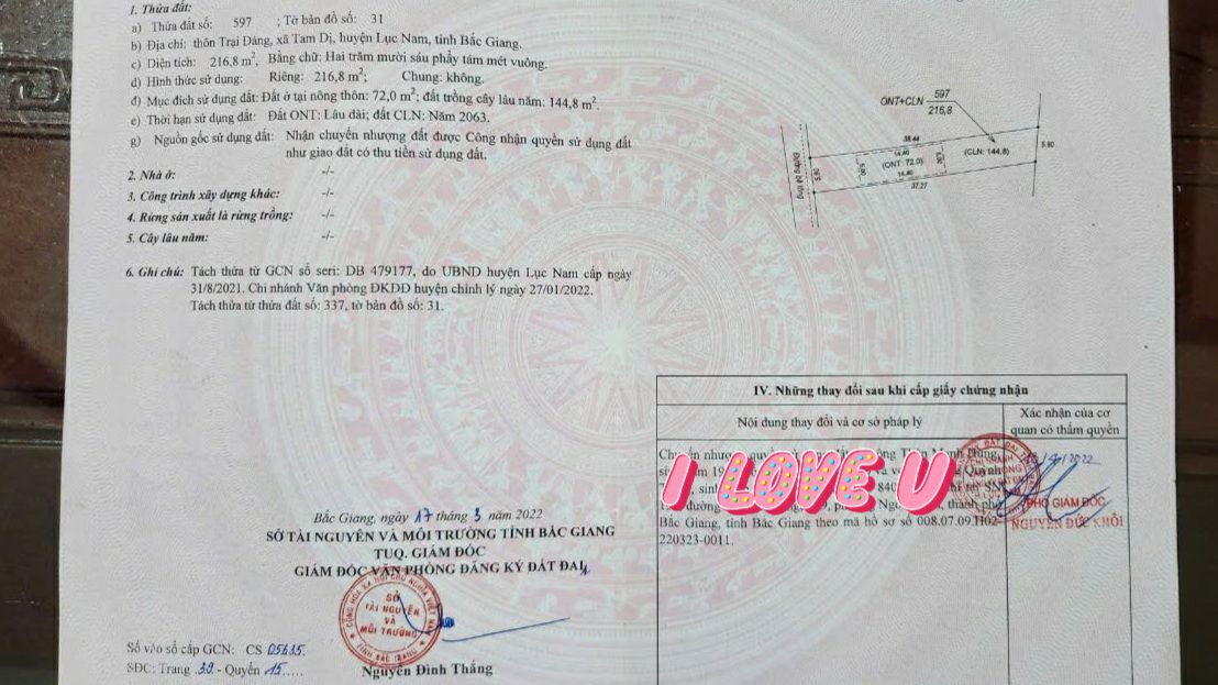 Đất Lục Nam Bắc Giang 216.8m² - Sổ Đỏ Lâu Dài - Giá Đầu Tư F0