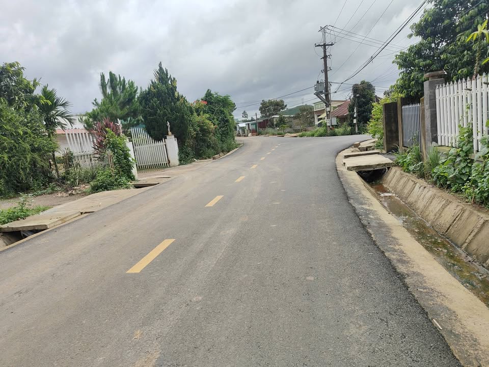 Đất Vàng Mặt Tiền 8m Đoàn Thị Điểm, Bảo Lộc - 481m² Sổ Đỏ