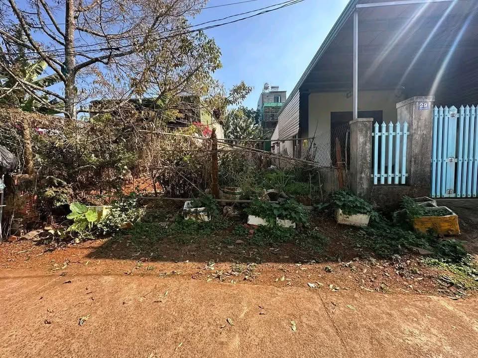 Đất nền Đắk Mil 198m² giá 1.45 tỷ - Sổ đỏ chính chủ sẵn sàng!