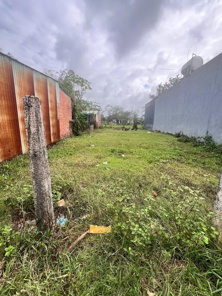 Đất nền Tam Đàn, Phú Ninh 200m² - Pháp lý rõ ràng, tiềm năng tăng giá!