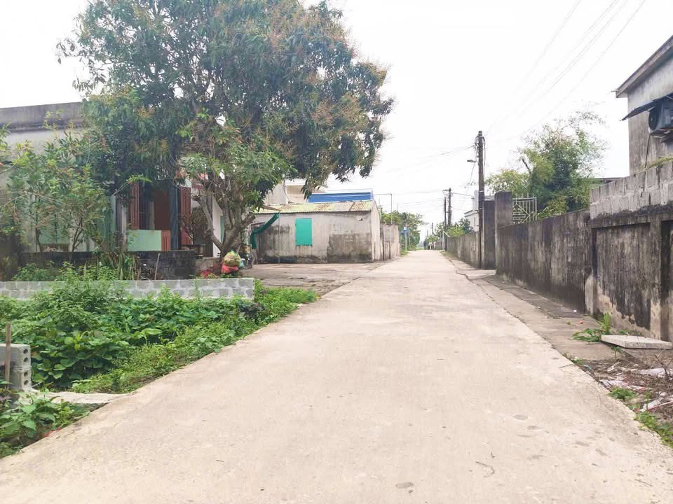 Đất nền Nam Trung, Tiền Hải 136m² giá 1 tỷ xx - Ô tô thông thoáng!