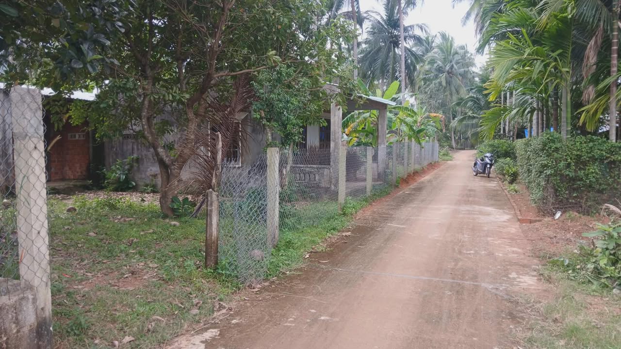 Đất nền Hoài Xuân 1232m² giá 2 tỷ - Sổ đỏ chính chủ, tiềm năng lớn