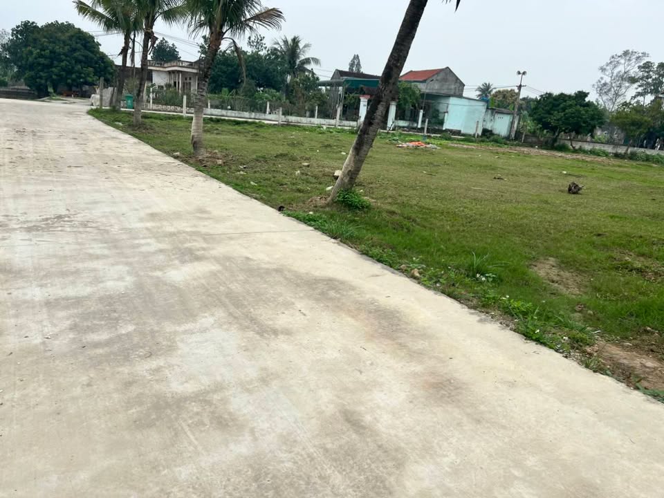 Đất nền Đồng Lợi Triệu Sơn 120m² - Sổ đỏ chính chủ, 700 triệu