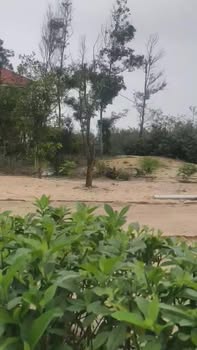 Đất Nền Thiên Cầm - Hà Tĩnh, 160m², Cách Biển 150m, Sổ Đỏ Thổ Cư