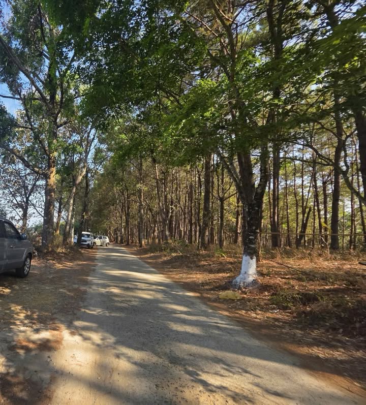 Bán đất Tôn Đức Thắng, Long Khánh 105m² full thổ, giá 1.25 tỷ - Lô đất VIP