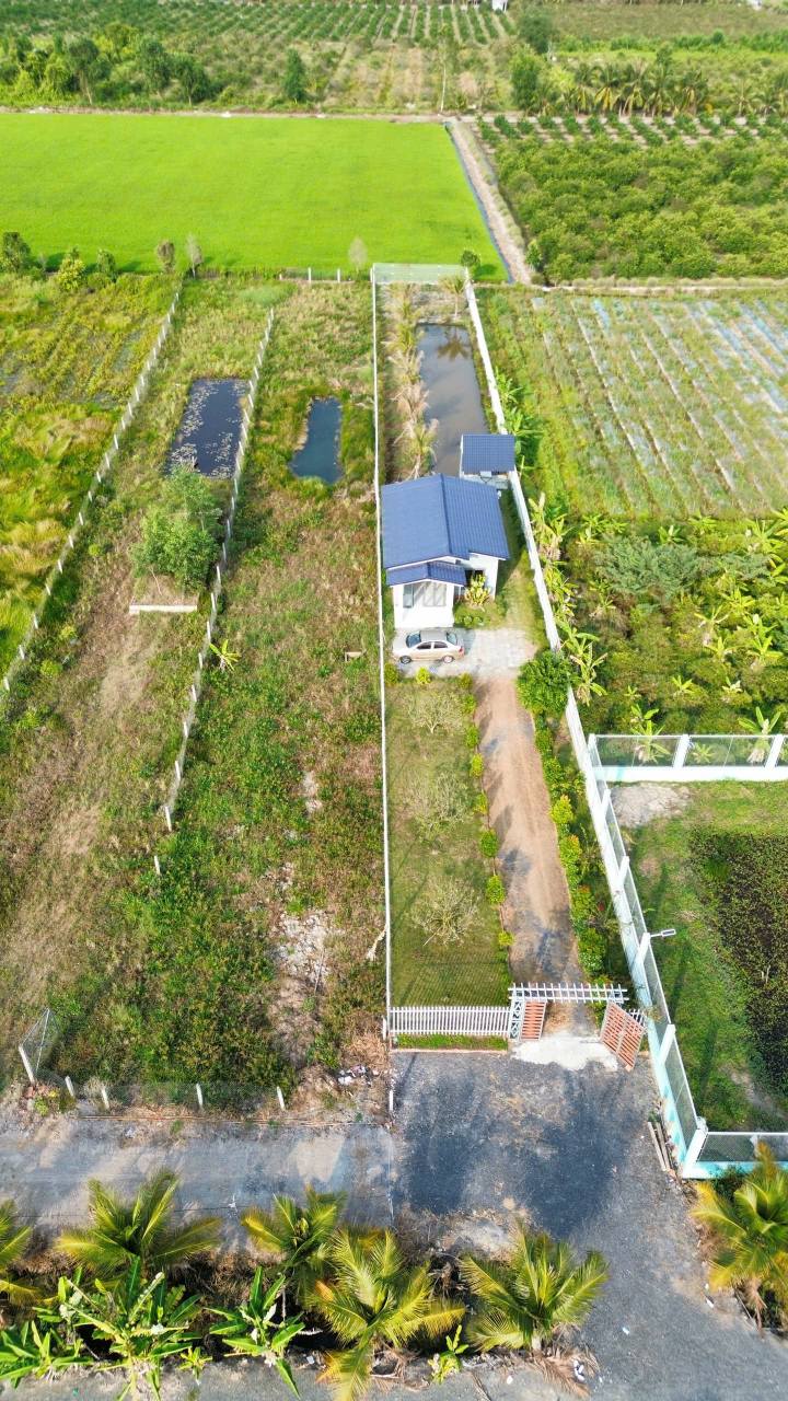 Nhà Vườn 1000m² Sổ Đỏ Tại Thủ Thừa, Long An - Giá Tốt 1.5 Tỷ