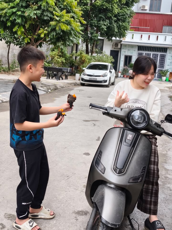 Cho thuê nhà Trại Lẻ Lê Chân 210m² giá 15 triệu - Vị trí đắc địa kinh doanh ngay!