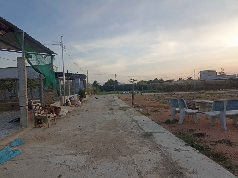 Bán 3 Lô Đất Vàng 100m² P. Đạo Long, Phan Rang - Sổ Hồng Riêng, Giá 680 Triệu/Lô