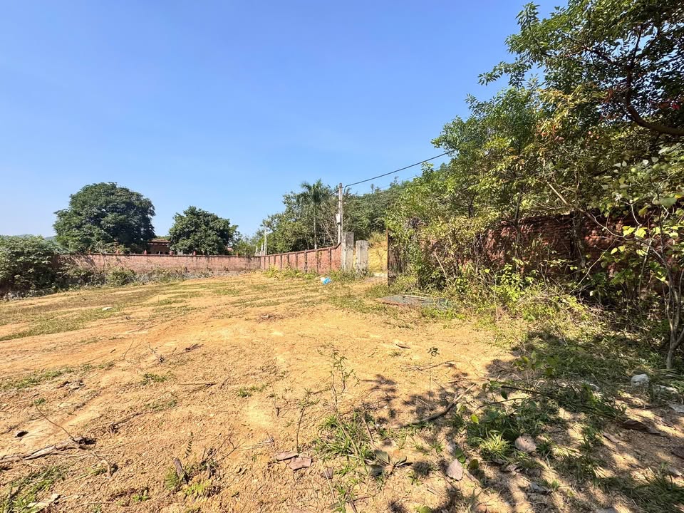 Bán đất Tiến Xuân Thạch Thất 3700m² giá 3.7 tỷ - Nghỉ dưỡng lý tưởng