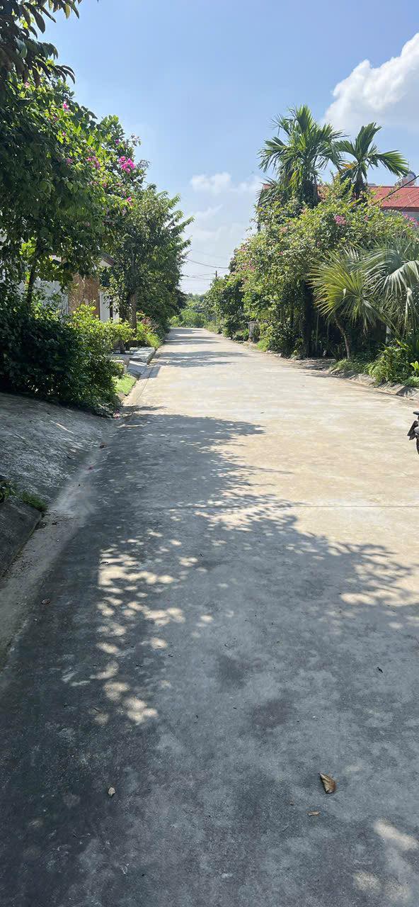 Đất nền giãn dân Phật Tích Tiên Du 205m² - Sổ hồng chính chủ