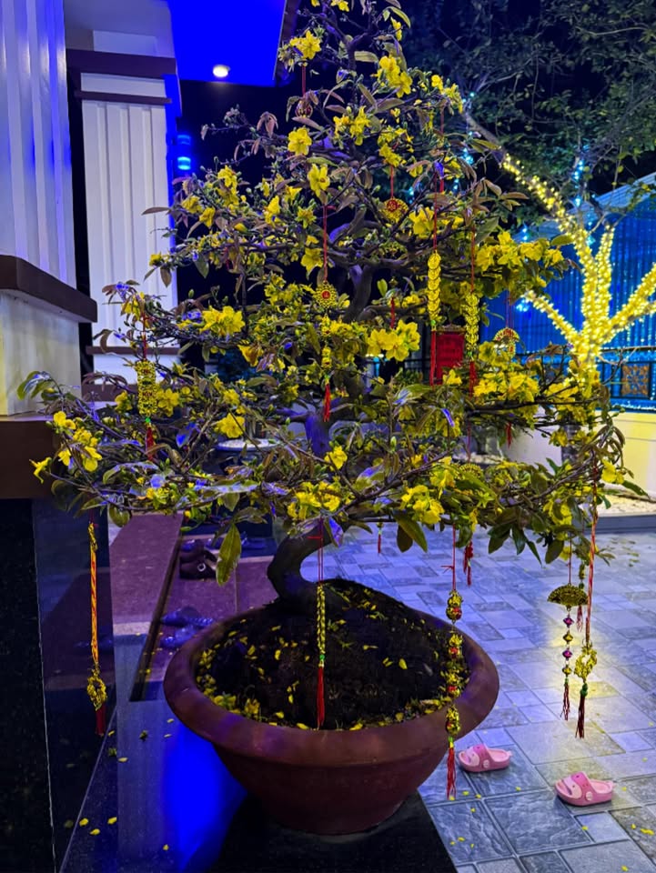 Đất nền Minh Khai Đức Thọ 150m² - Tiềm năng tăng giá vượt trội!