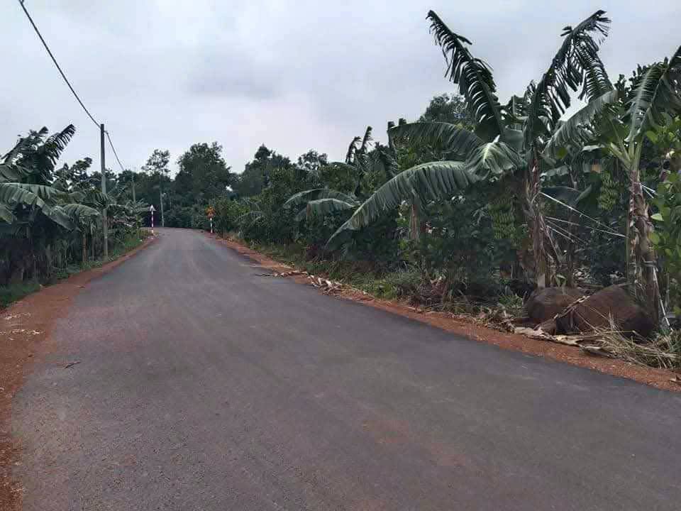 Đất nền Trảng Bom 30000m² - Mặt tiền 400m, đầu tư sinh lời!