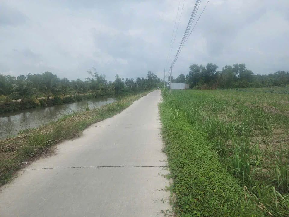 Đất nền Phú Mỹ, Mỹ Tú 243m² - Đường to ô tô tới nơi!