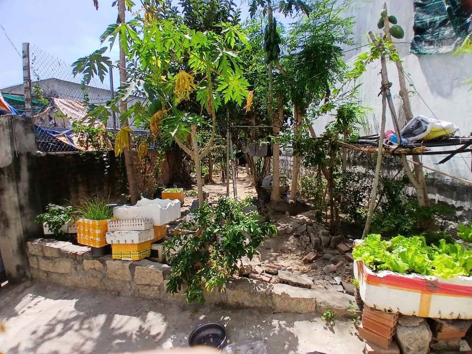 Bán Đất 80m² Hẻm 26 Hòn Nghê, Nha Trang - Sổ Tổng, Sẵn Xây Dựng