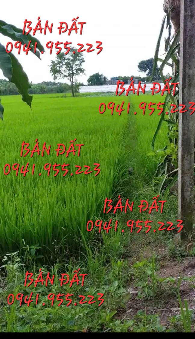 Bán Đất Nông Nghiệp 4288m² Mặt Tiền Quốc lộ N1, Châu Đốc - Sổ Đỏ Chính Chủ