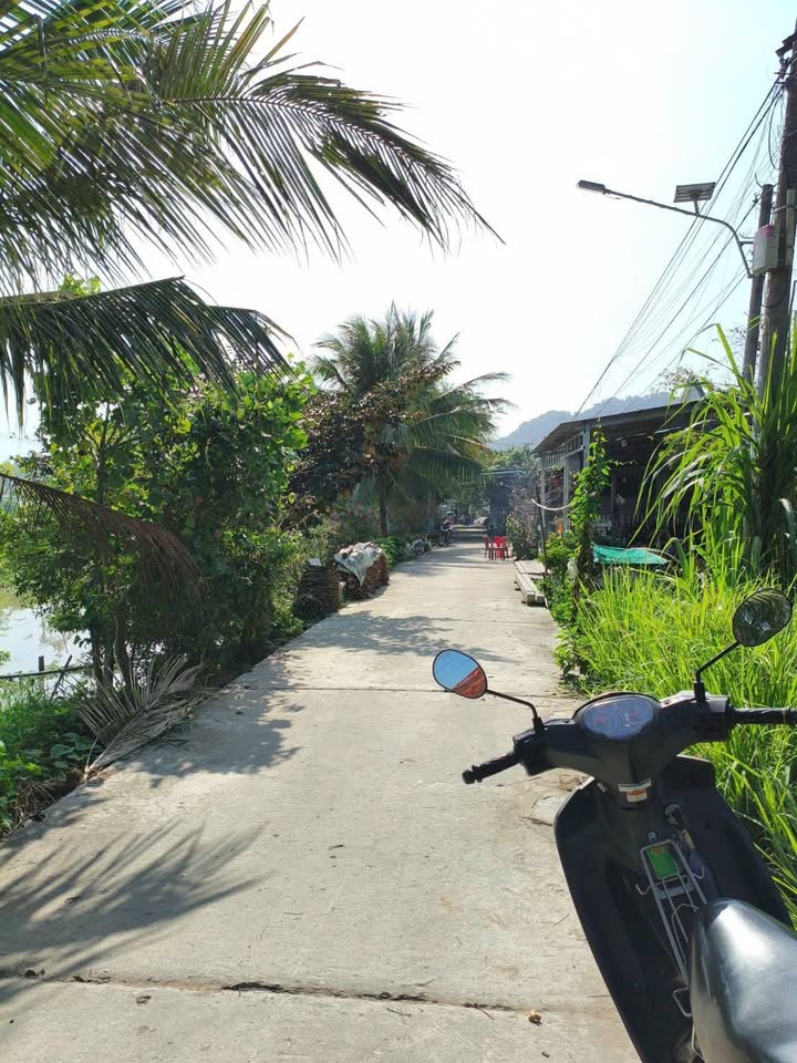 Đất vườn Thoại Sơn An Giang 6600m² - Nghỉ dưỡng lý tưởng, sổ hồng sẵn