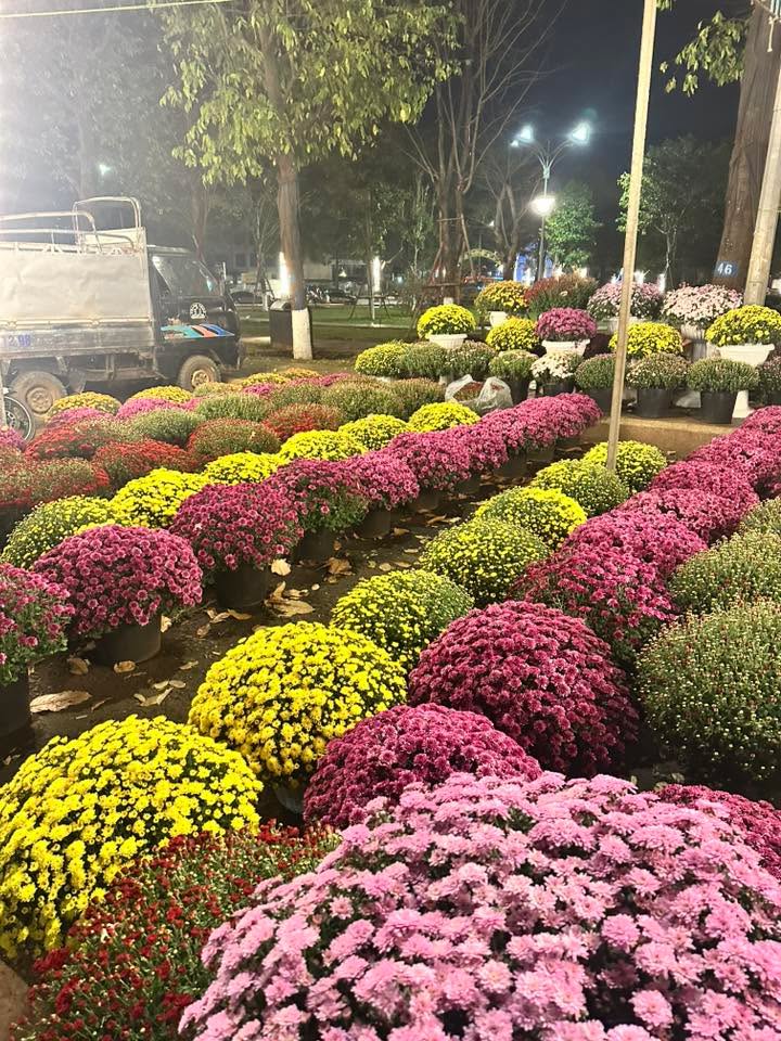 Đất nền Hòa Tân Tây, Phú Yên 245m² - Đường to ô tô thông thoáng!