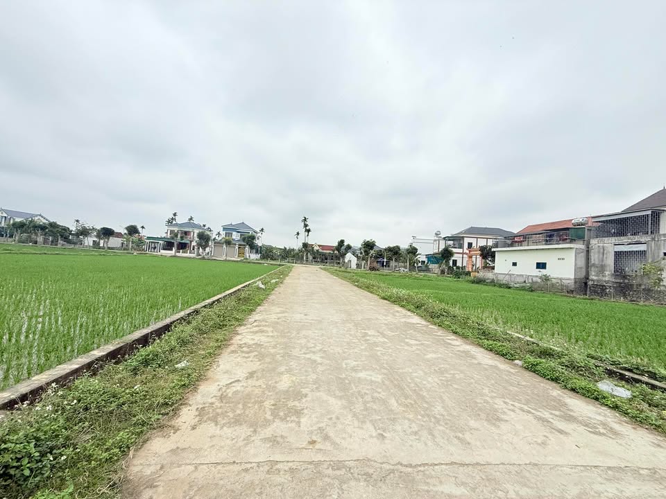 Đất nền 275m² Đường 2, Cửa Lò - Đầu tư sinh lời, An cư lý tưởng