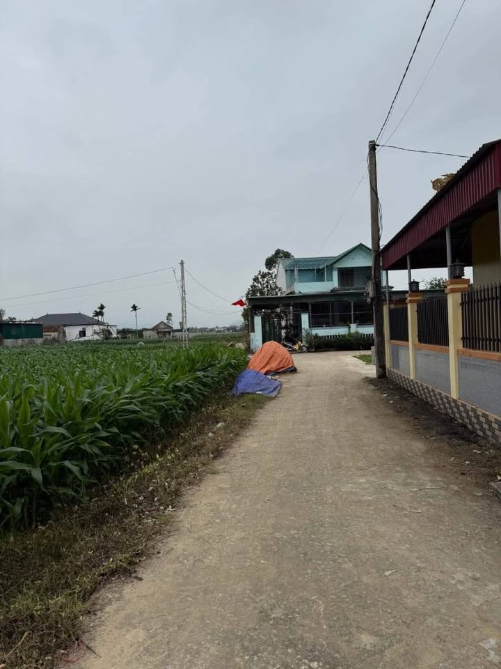 Đất nền Nghi Trường 203m² - Chỉ 700 triệu, đường thông ô tô